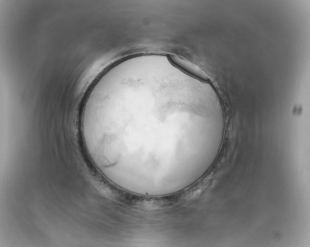 X0000091570103200709101005