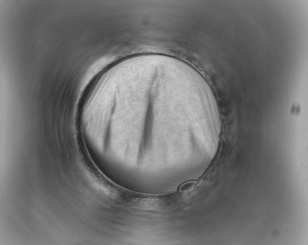 X0000091570104200709101005