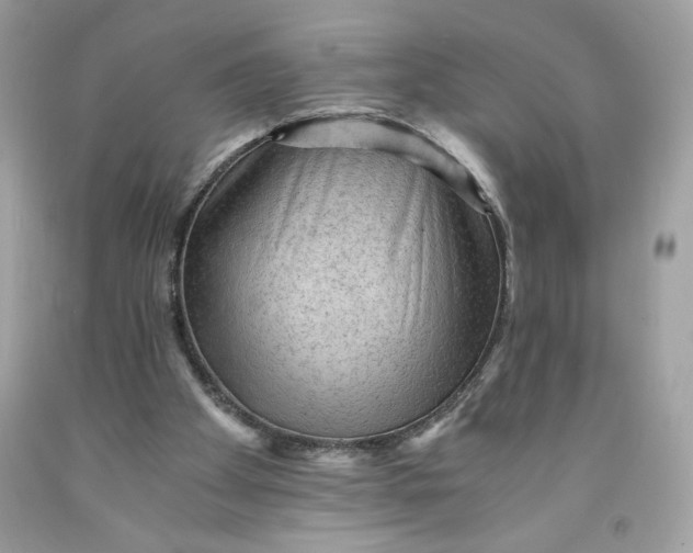 X0000091570105200709101005