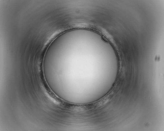 X0000091570106200709101005