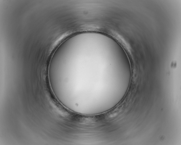 X0000091570107200709101005