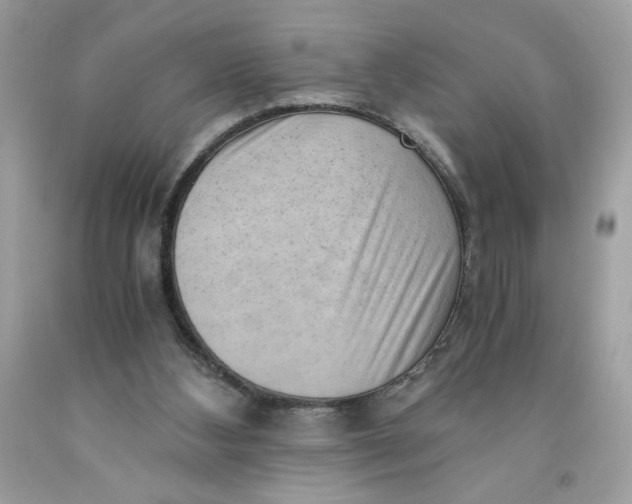 X0000091570108200709101005