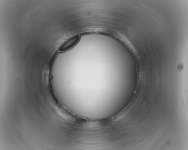 X0000091570110200709101005