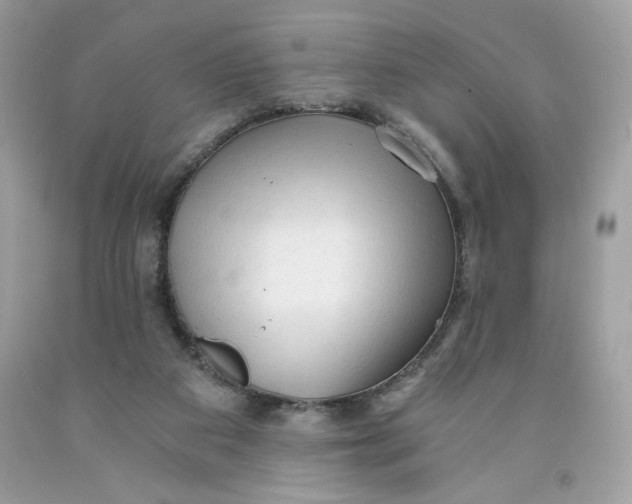 X0000091570113200709101005