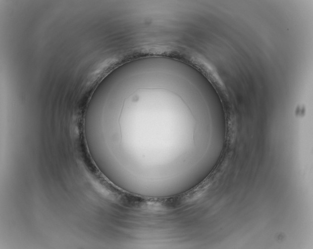 X0000091570114200709101005