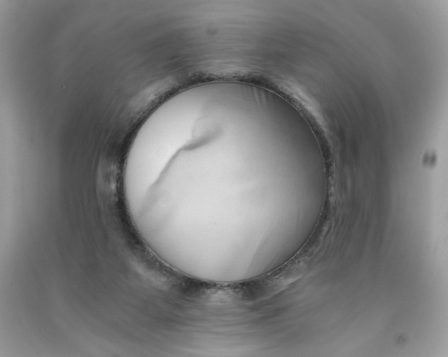 X0000091570115200709101005