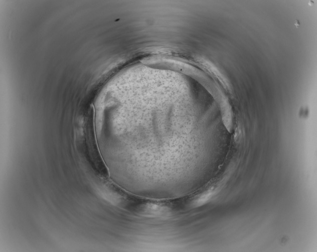 X0000091570117200709101005