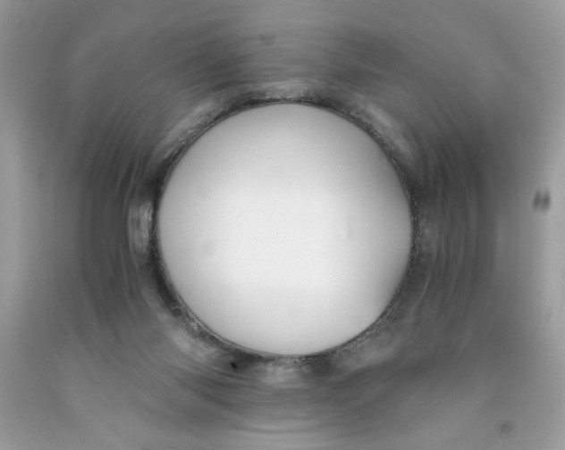 X0000091570118200709101005