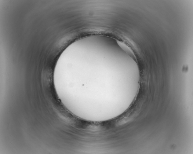 X0000091570119200709101005