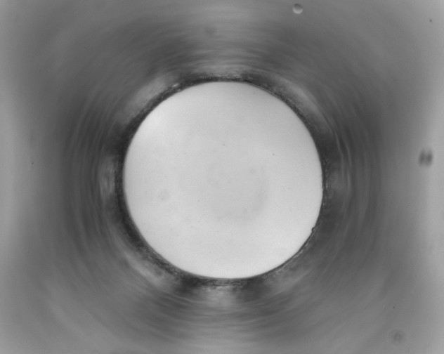 X0000091570120200709101005