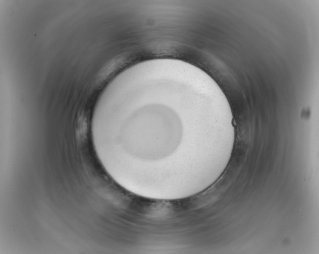 X0000091570124200709101005