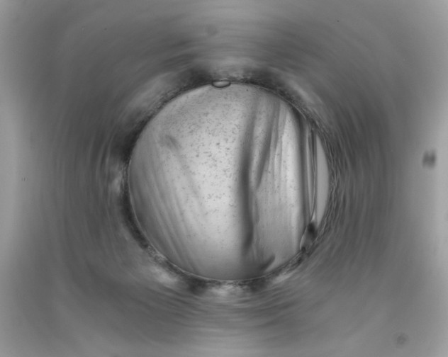 X0000091570125200709101005