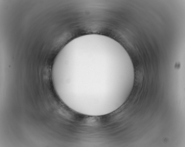 X0000091570126200709101005