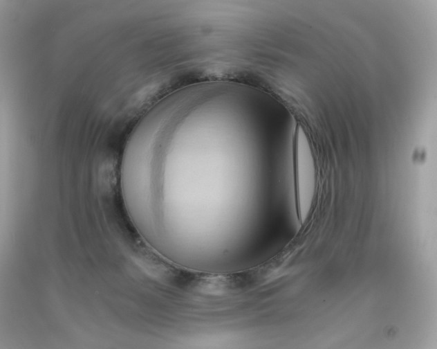 X0000091570127200709101005