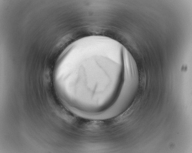 X0000091570128200709101005