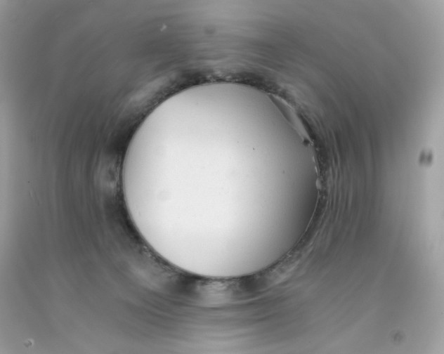 X0000091570129200709101005