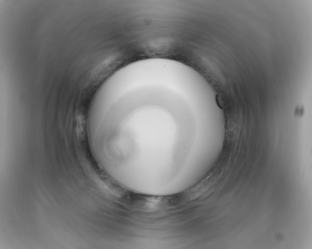 X0000091570130200709101005