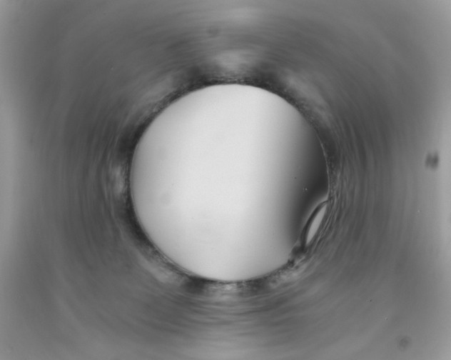 X0000091570131200709101005