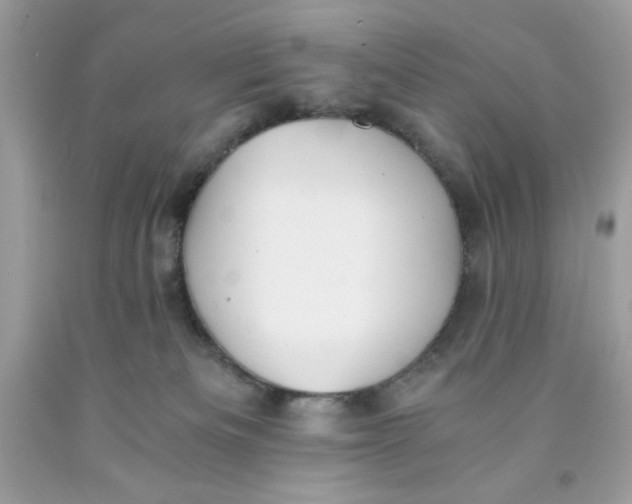 X0000091570133200709101005