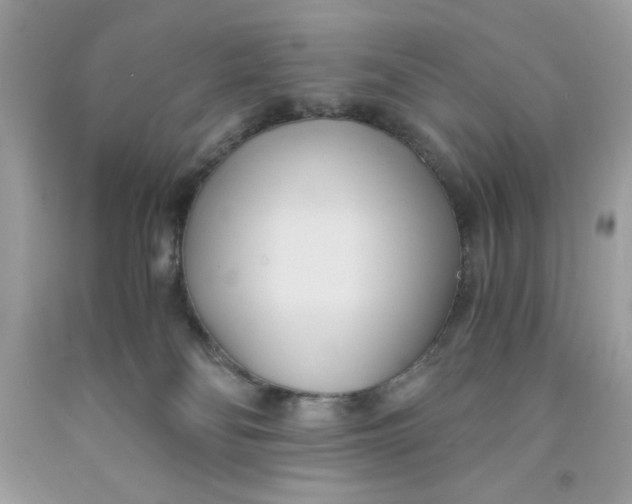 X0000091570134200709101005