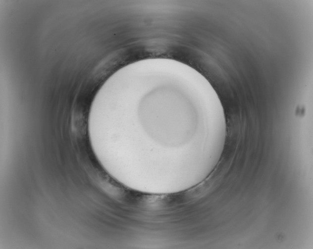 X0000091570136200709101005