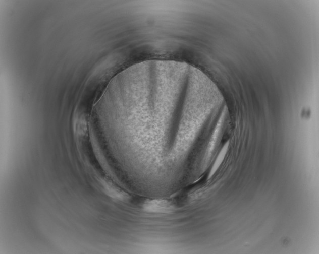 X0000091570137200709101005