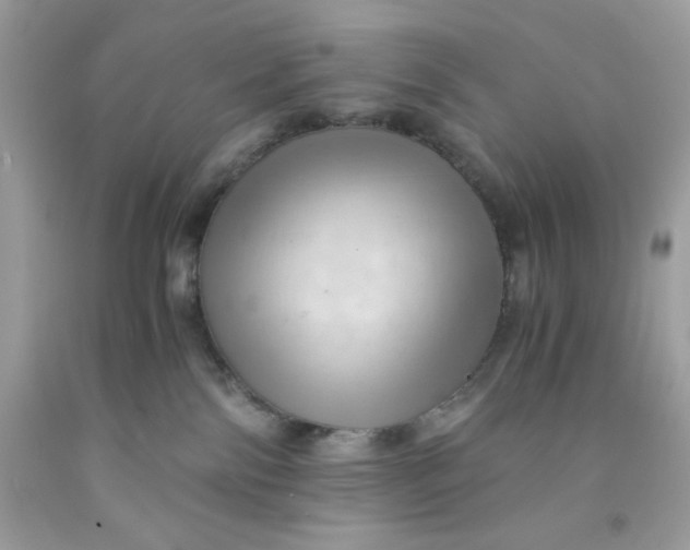 X0000091570138200709101005