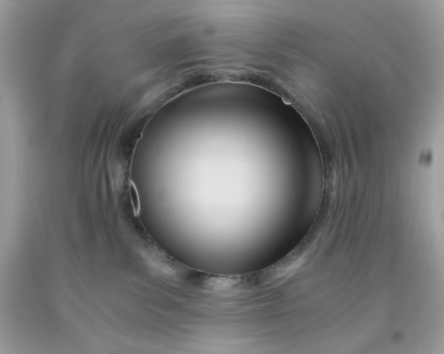 X0000091570139200709101005