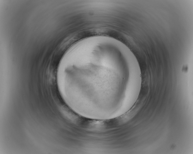 X0000091570140200709101005