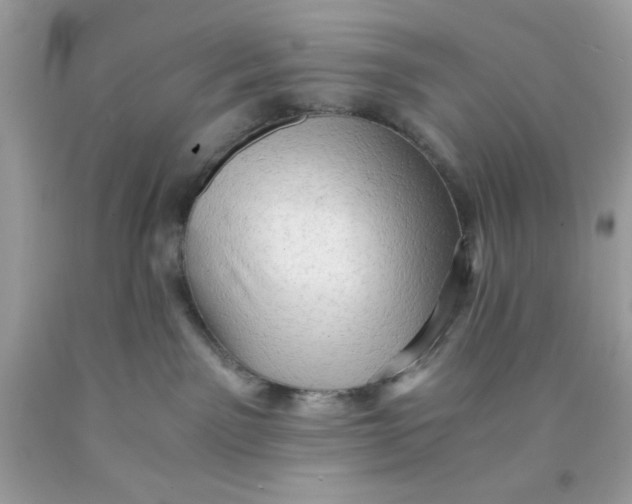 X0000091570141200709101005