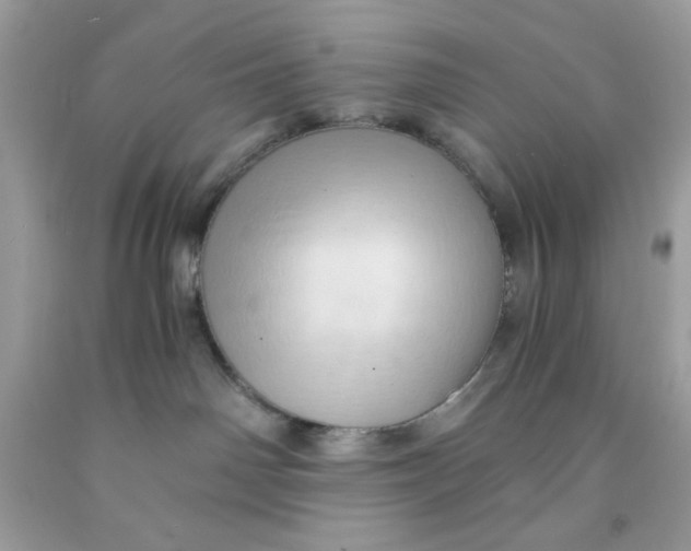 X0000091570142200709101005