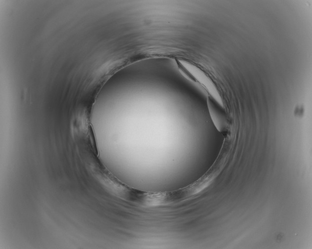 X0000091570143200709101005