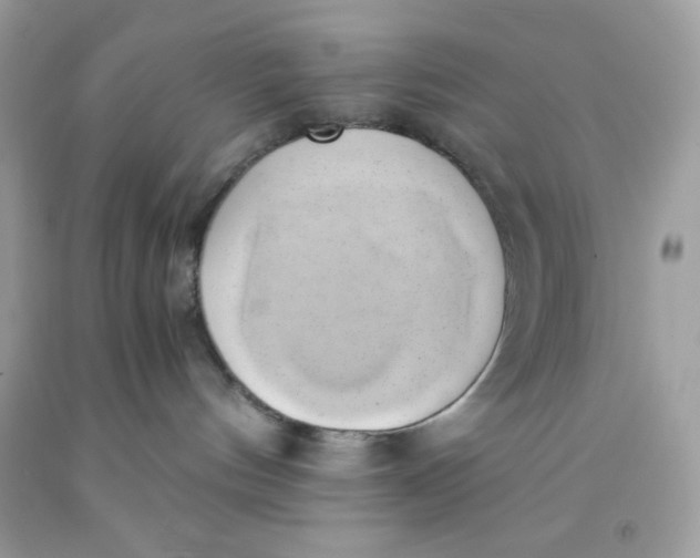 X0000091570144200709101005