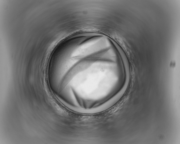 X0000091570145200709101004