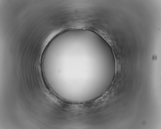 X0000091570147200709101004