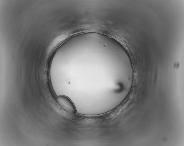 X0000091570149200709101004