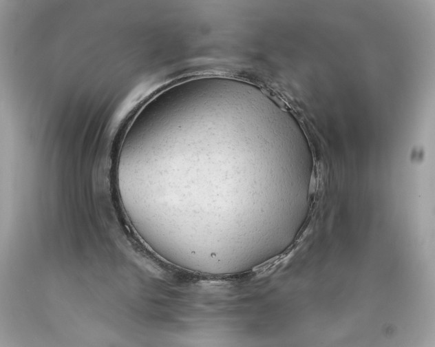 X0000091570150200709101004