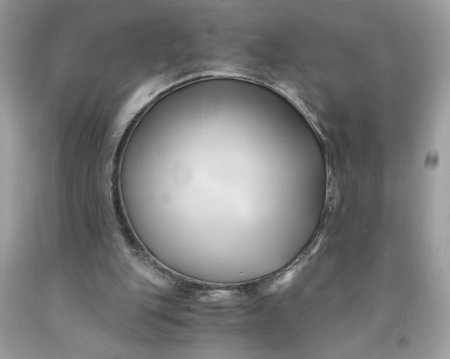 X0000091570151200709101004