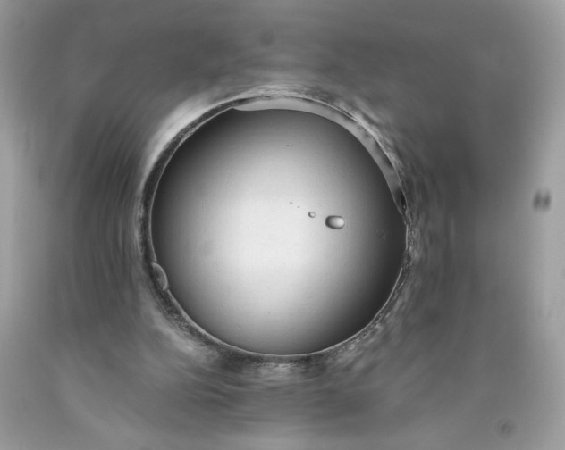 X0000091570152200709101004