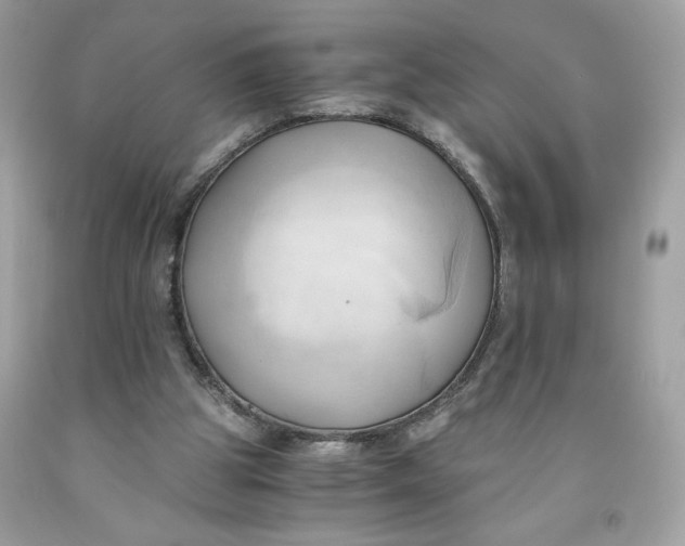 X0000091570153200709101004