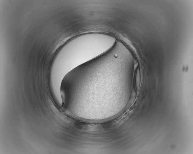 X0000091570154200709101004