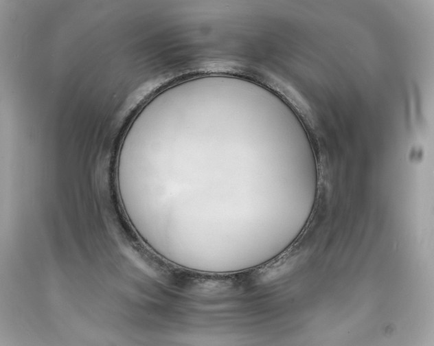 X0000091570155200709101004