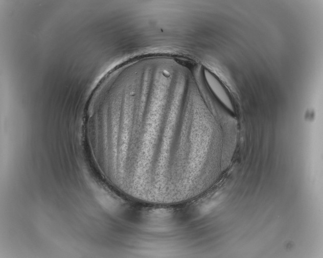 X0000091570156200709101004