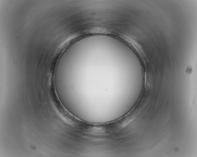 X0000091570157200709101004