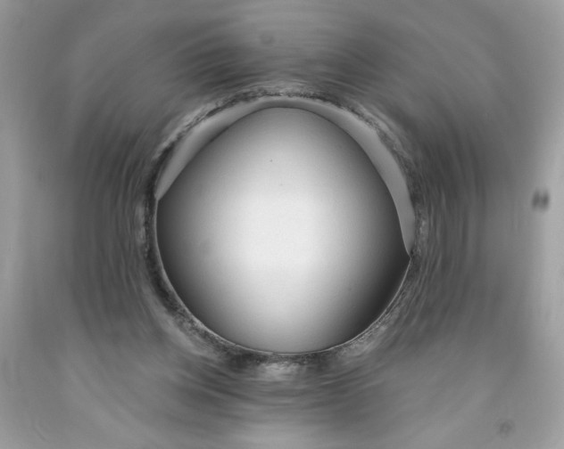 X0000091570158200709101004