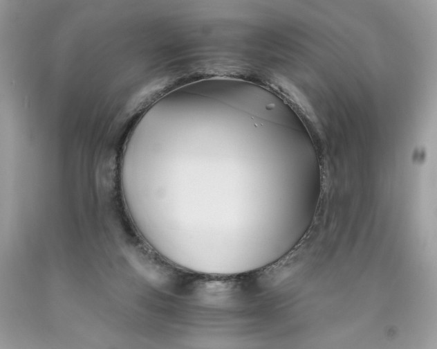 X0000091570163200709101004