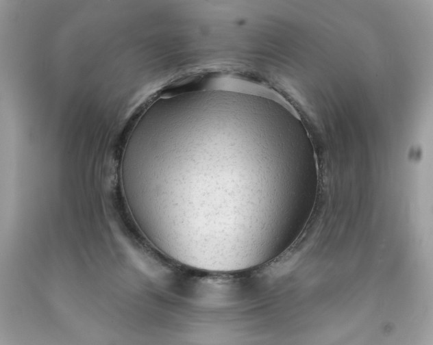 X0000091570164200709101004