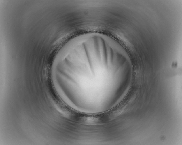 X0000091570165200709101004