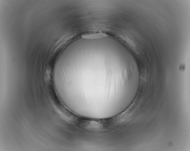 X0000091570166200709101004