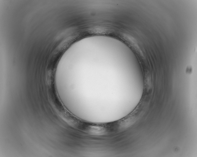 X0000091570167200709101004